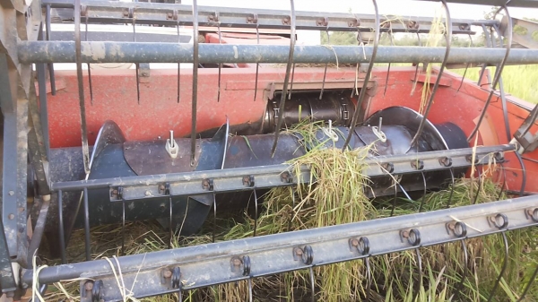 **275,000 บ.ต่อรอง**คันที่1!!!ขายรถเกี่ยวแบบรองกระสอบ KUBOTA DC60 เครื่องเดิมปั้มเดิม 60แรง แน่นดีแรง ปากเกี่ยวสภาพดี ชั่วโมงทำงาน3,9xx ชม. ช่องระบายข้าว2ช่อง ช่วงล่าง70-80\% ทำงานดีคล่องตัวเลี้ยวง่าย รถใช้งานอยู่ปกติ สีสันดี ซื้อไปทำงานได้เลย พร้อมใช้พร้อ