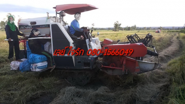 **275,000 บ.ต่อรอง**คันที่2!!! ขายรถเกี่ยวแบบรองกระสอบ KUBOTA DC60 เครื่องเดิมปั้มเดิม 60แรง แน่นดีแรง ปากเกี่ยวสภาพดี ชั่วโมงทำงาน3,1xx ชม. ช่องระบายข้าว2ช่อง ช่วงล่าง70-80\% ทำงานดีคล่องตัวเลี้ยวง่าย รถใช้งานอยู่ปกติ สีสันดี ซื้อไปทำงานได้เลย พร้อมใช้พร้