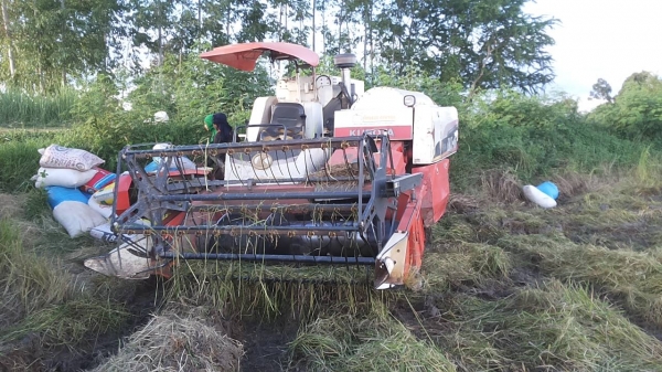 **275,000 บ.ต่อรอง**คันที่2!!! ขายรถเกี่ยวแบบรองกระสอบ KUBOTA DC60 เครื่องเดิมปั้มเดิม 60แรง แน่นดีแรง ปากเกี่ยวสภาพดี ชั่วโมงทำงาน3,1xx ชม. ช่องระบายข้าว2ช่อง ช่วงล่าง70-80\% ทำงานดีคล่องตัวเลี้ยวง่าย รถใช้งานอยู่ปกติ สีสันดี ซื้อไปทำงานได้เลย พร้อมใช้พร้