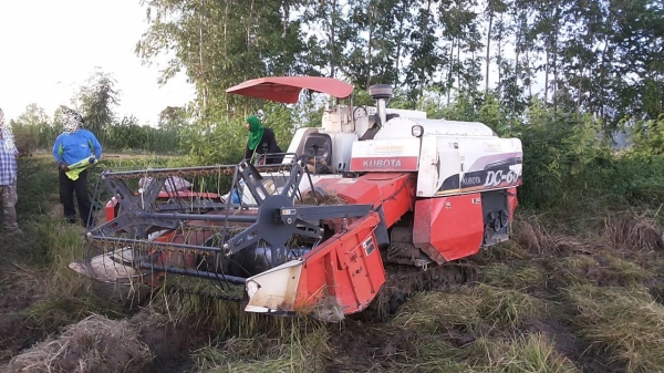 **275,000 บ.ต่อรอง**คันที่2!!! ขายรถเกี่ยวแบบรองกระสอบ KUBOTA DC60 เครื่องเดิมปั้มเดิม 60แรง แน่นดีแรง ปากเกี่ยวสภาพดี ชั่วโมงทำงาน3,1xx ชม. ช่องระบายข้าว2ช่อง ช่วงล่าง70-80\% ทำงานดีคล่องตัวเลี้ยวง่าย รถใช้งานอยู่ปกติ สีสันดี ซื้อไปทำงานได้เลย พร้อมใช้พร้