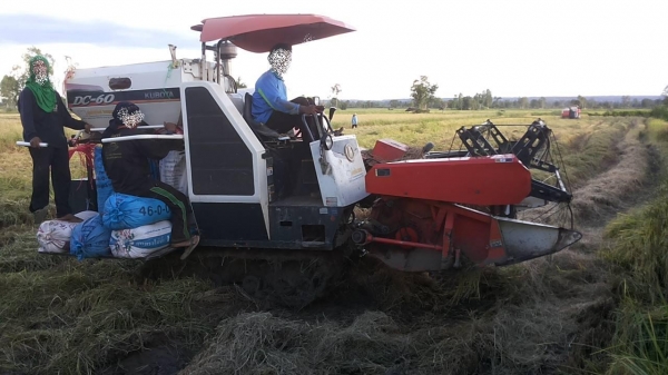 **275,000 บ.ต่อรอง**คันที่2!!! ขายรถเกี่ยวแบบรองกระสอบ KUBOTA DC60 เครื่องเดิมปั้มเดิม 60แรง แน่นดีแรง ปากเกี่ยวสภาพดี ชั่วโมงทำงาน3,1xx ชม. ช่องระบายข้าว2ช่อง ช่วงล่าง70-80\% ทำงานดีคล่องตัวเลี้ยวง่าย รถใช้งานอยู่ปกติ สีสันดี ซื้อไปทำงานได้เลย พร้อมใช้พร้