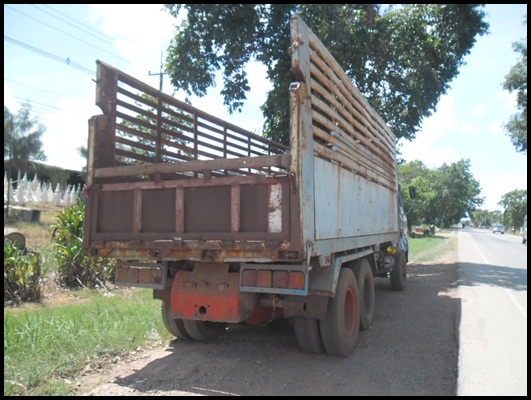 ฮีโน่ ZM  2เพลาดั้ม