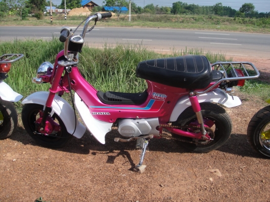 ขาย ชาลี เครื่องเดิม ( ทำสีใหม่ ) มีให้เลือก 2 คัน ขาย ชาลี เครื่องเดิม ( ทำสีใหม่ ) มีให้เลือก 2 คัน