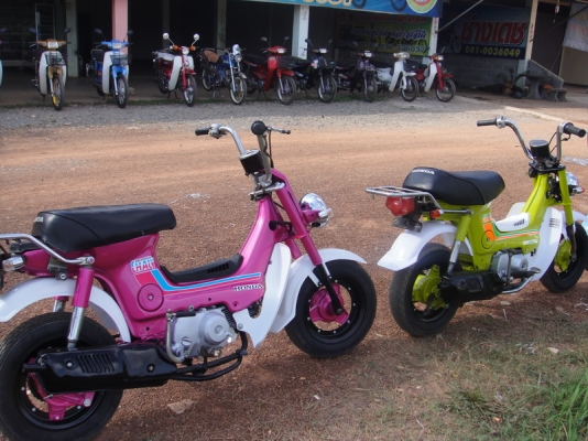 ขาย ชาลี เครื่องเดิม ( ทำสีใหม่ ) มีให้เลือก 2 คัน ขาย ชาลี เครื่องเดิม ( ทำสีใหม่ ) มีให้เลือก 2 คัน