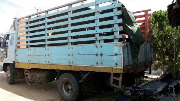 รถอีซูซุ 6 ล้อ  รั้ว ( ไม่ดั้ม )   FRR12FA  175 แรงม้า.  สนใจติดต่อ 081 - 6079515