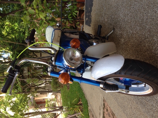 ขาย ชาลี สวยๆ