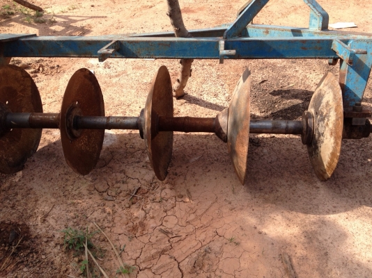 ผานพลวน5ใบของไคเฮงหลีราคาถูก