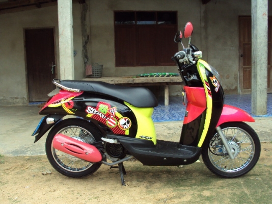 scoopy i ปี55