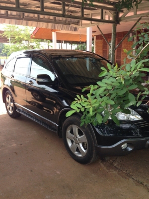 HONDA CRV 2.0 ปี52 เดิมบาง ไม่กินแก้ส งวดละ 10400 เหลือ 680000 HONDA CRV 2.0 ปี52 เดิมบาง ไม่กินแก้ส งวดละ 10400 เหลือ 680000