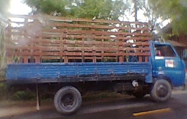 TOYOTA DYNA BU30 - 85 HP กระบะเหล็กคอกไม้ความยาว 4.30 เมตรสภาพดีไม่มีผุ เครื่องแรงดีไม่เยิ้ม ภายในเก๋งคอนโซลอยู่ครบ ช่วงล่างคัชซีไม่มีบวม เอกสารเล่มทะเบียนภาษีครบไม่มีขาด ยางสภาพดี 60\% ราคาต่อรองได้ครับ