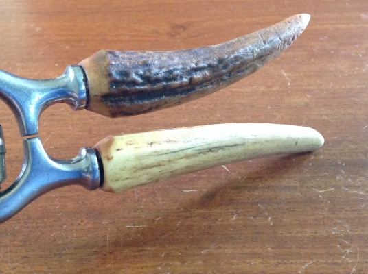 ขายกรรไกรตัดกิ่ง Vintage ด้ามจับทำจากเขากวาง ขายกรรไกรตัดกิ่ง Vintage ด้ามจับทำจากเขากวาง