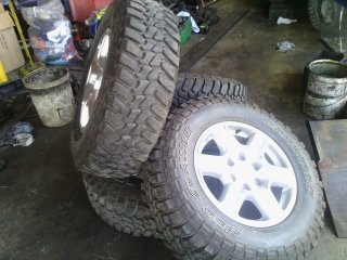 แม๊กซ์ ฟอร์ด เรนเจอร์