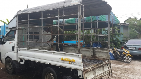 ขาย4ล้อเกียร์2700 ทะเบียไม่ติดเวลาวางเครื่องอีซูซุ4JG2 100แรงม้า  สภาพดีพร้อมใช้