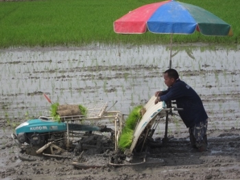 อยากดำนา ปลูกข้าวได้เร็ว มาทางนี้ครับ เรามีรถดำนา ปลูกข้าว หลายแบบ หลายยี่ห้อให้เลือกสรร มือสองญี่ปุ่น สภาพสวย