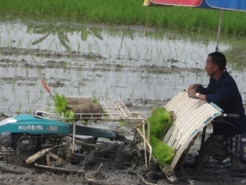 อยากดำนา ปลูกข้าวได้เร็ว มาทางนี้ครับ เรามีรถดำนา ปลูกข้าว หลายแบบ หลายยี่ห้อให้เลือกสรร มือสองญี่ปุ่น สภาพสวย