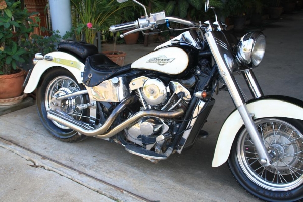 ขาย STEED 600 แต่งแนว Fatboy ทะเบียนแท้ โอนส่ง 122000