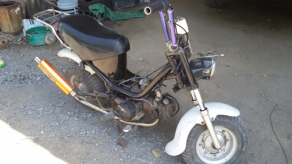 ชิปปี้  เครื่องเวฟ100