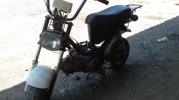 ชิปปี้  เครื่องเวฟ100