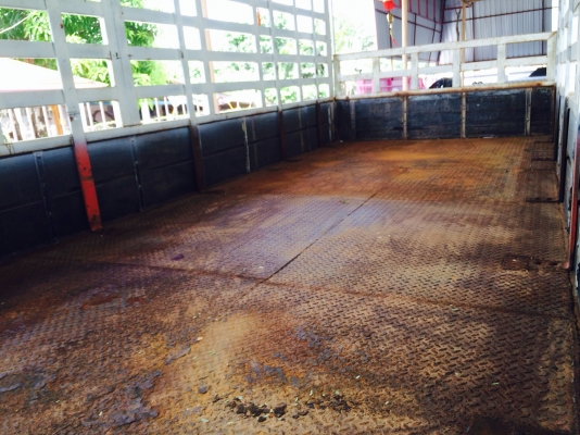 ขาย6ล้อเมก้าปี49 วิ่งแค่75000โลครับ ขาย6ล้อเมก้าปี49 วิ่งแค่75000โลครับ