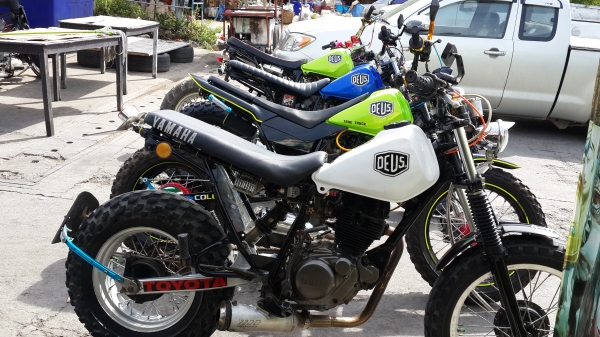 ด่วนขายกันถูกๆมาก่อนได้ก่อน ด่วนขายกันถูกๆมาก่อนได้ก่อน