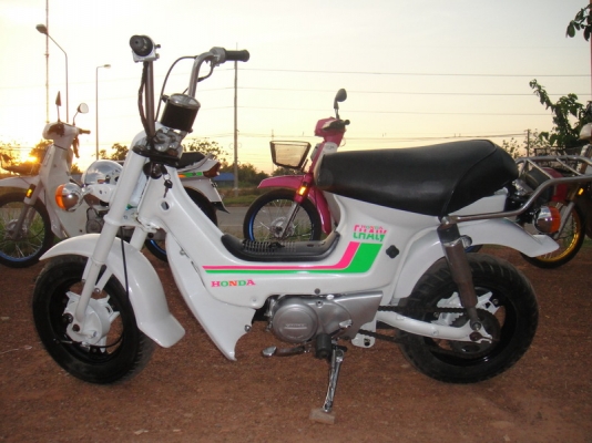 ขายชาลี เครื่องเดิม สีขาวมุก