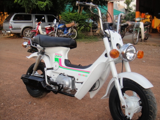 ขายชาลี เครื่องเดิม สีขาวมุก