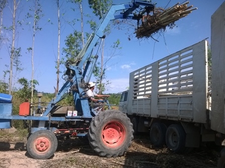 ขายตาชั่งหรือให้เช่าลาน และขายรถไถคีบ