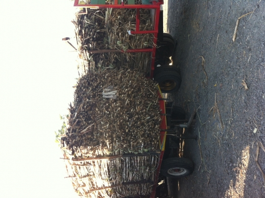 ลดแล้วคับด่วนEแต๋น แชทซีตรงของโตโยต้าBU สี่ล้อกลาง เพลาลอย สีฟ้าไม่่รวมเครื่องคับ