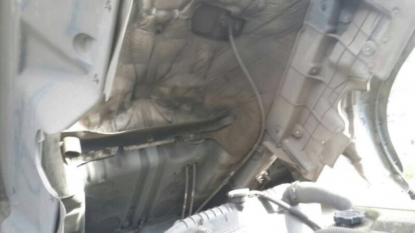 รถฮีโน่ 10 ล้อ ตู้เย็น 260 แรงม้า. ปี 50   สนใจติดต่อ 081 - 6079515