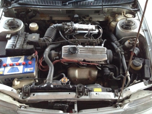 มิตซู มิตซู