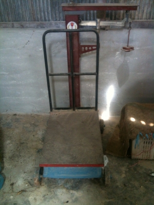 ขายเครื่องชั่งตัวใหญ่