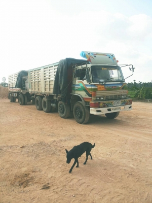 แม่-ลูกดั้มFM187LA ซูโม่227....220แรง แม่12ล้อ..ลูก8ล้อ....รถสวย...ลายสวย.(รายการดูหน้าเล่ม)