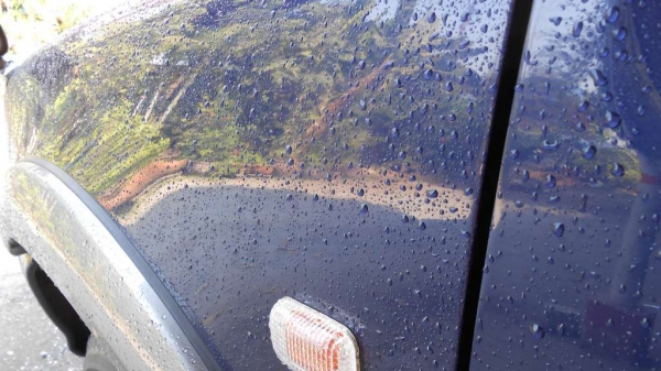 Dragon LS2000 4WD Xenon