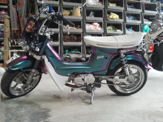 ขายชาลี สีเหลือบ เครื่อง lifan150 ล้อ 12" ครับ