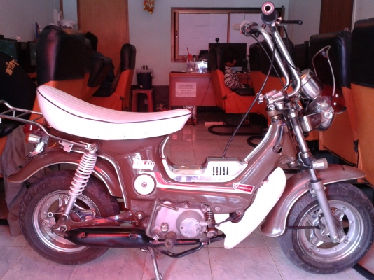 ขายชาลี