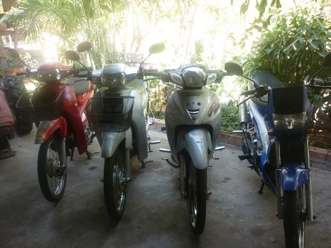 ขายรถตระกูลฮอนด้าครับ