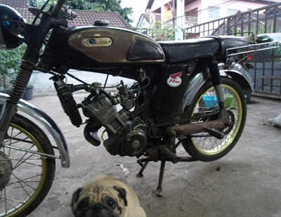 ขายมอไช YL2 เครื่องโซนิก ขายมอไช YL2 เครื่องโซนิก