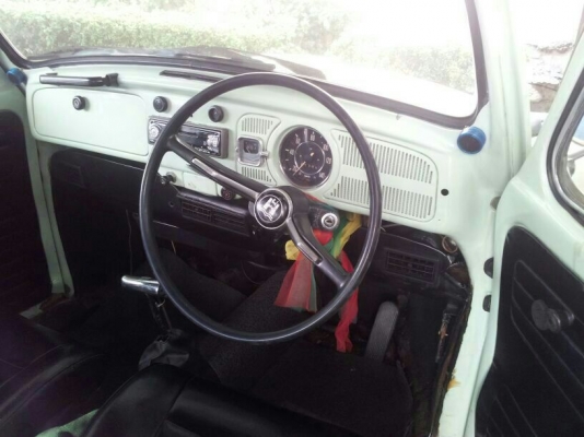 เต่าเดิมๆ