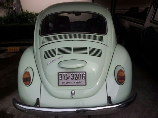 เต่าเดิมๆ