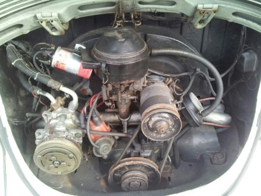 เต่าเดิมๆ