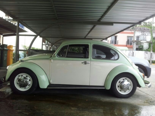 เต่าเดิมๆ