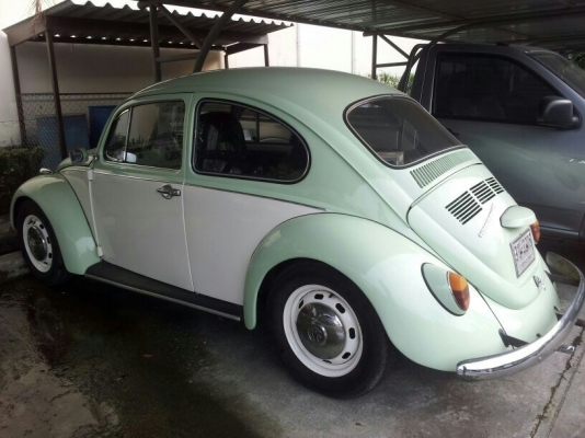 เต่าเดิมๆ