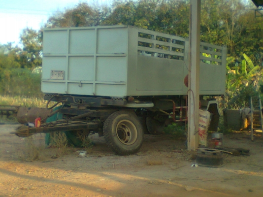 ขายลูกพวงดั๊ม