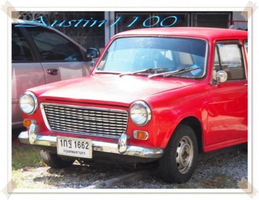 +++ ขาย Austin 1100 ปี 1963 +++หลุดมัดจำ +++ ขาย Austin 1100 ปี 1963 +++หลุดมัดจำ