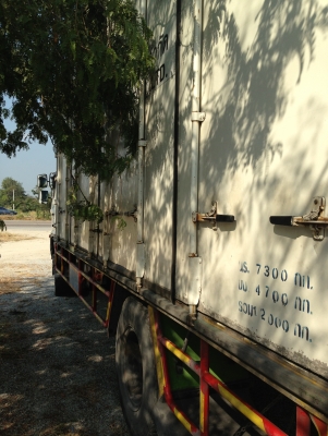 HINO MAGA FG 1 J 6 ล้อ ตู้ 10 บาน