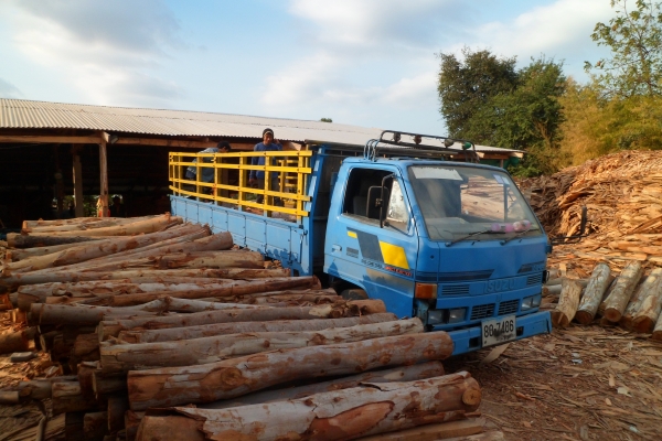 ขายเครื่อง ทำไม้ อัด ไม้ วีเนีย์ร์