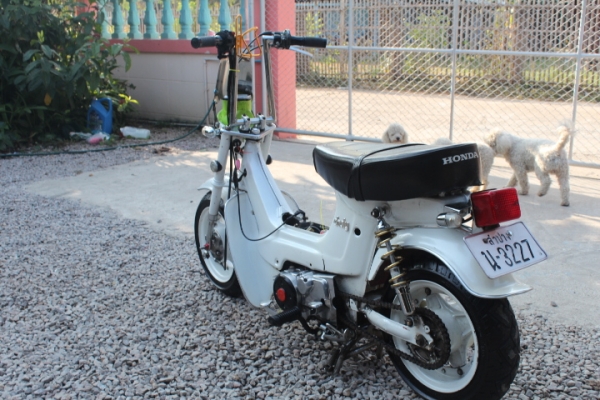 ชาลีแต่งสวยๆราคาถูกแสนถูกขายไปเลย13800บาท