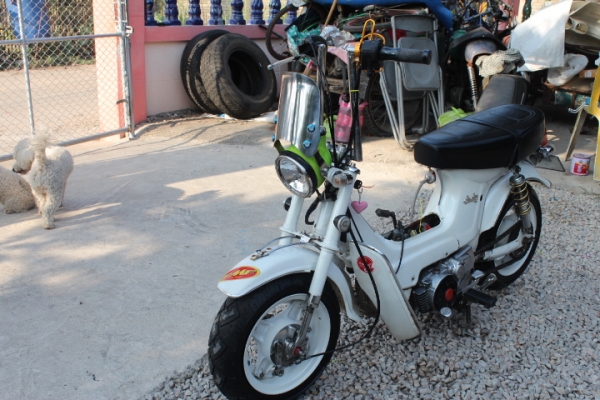 ชาลีแต่งสวยๆราคาถูกแสนถูกขายไปเลย13800บาท