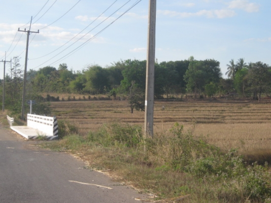 ที่ดินติดถนนสี่เลน  13.1.51 ไร่  จ.มุกดาหาร  ห่างตัวเมือง 15 กม.