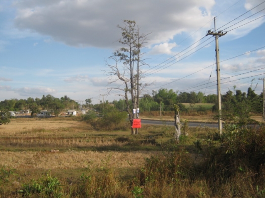 ที่ดินติดถนนสี่เลน  13.1.51 ไร่  จ.มุกดาหาร  ห่างตัวเมือง 15 กม.